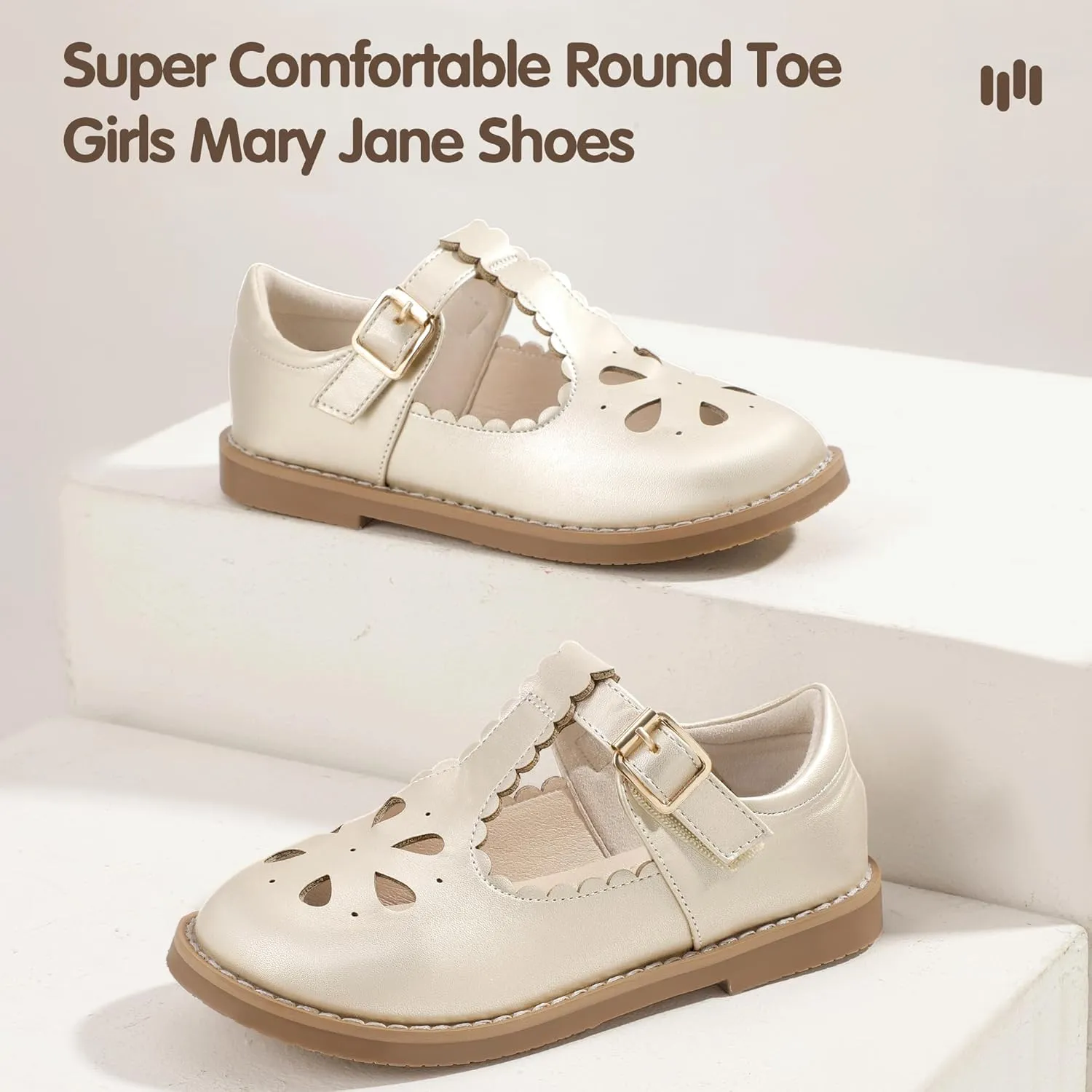 Hehainom Girls Mary Jane Shoes T-Strap Dress Ballet Flats Toddler Girls Wedding Party Uniform School Shoes