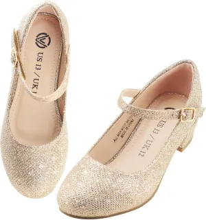 LseLom Girls Dress Shoes-Mary Jane Shoes for Girls Low Heel Princess Hook and Loop Dress Shoes Party Wedding Flats for Little/Big Kids